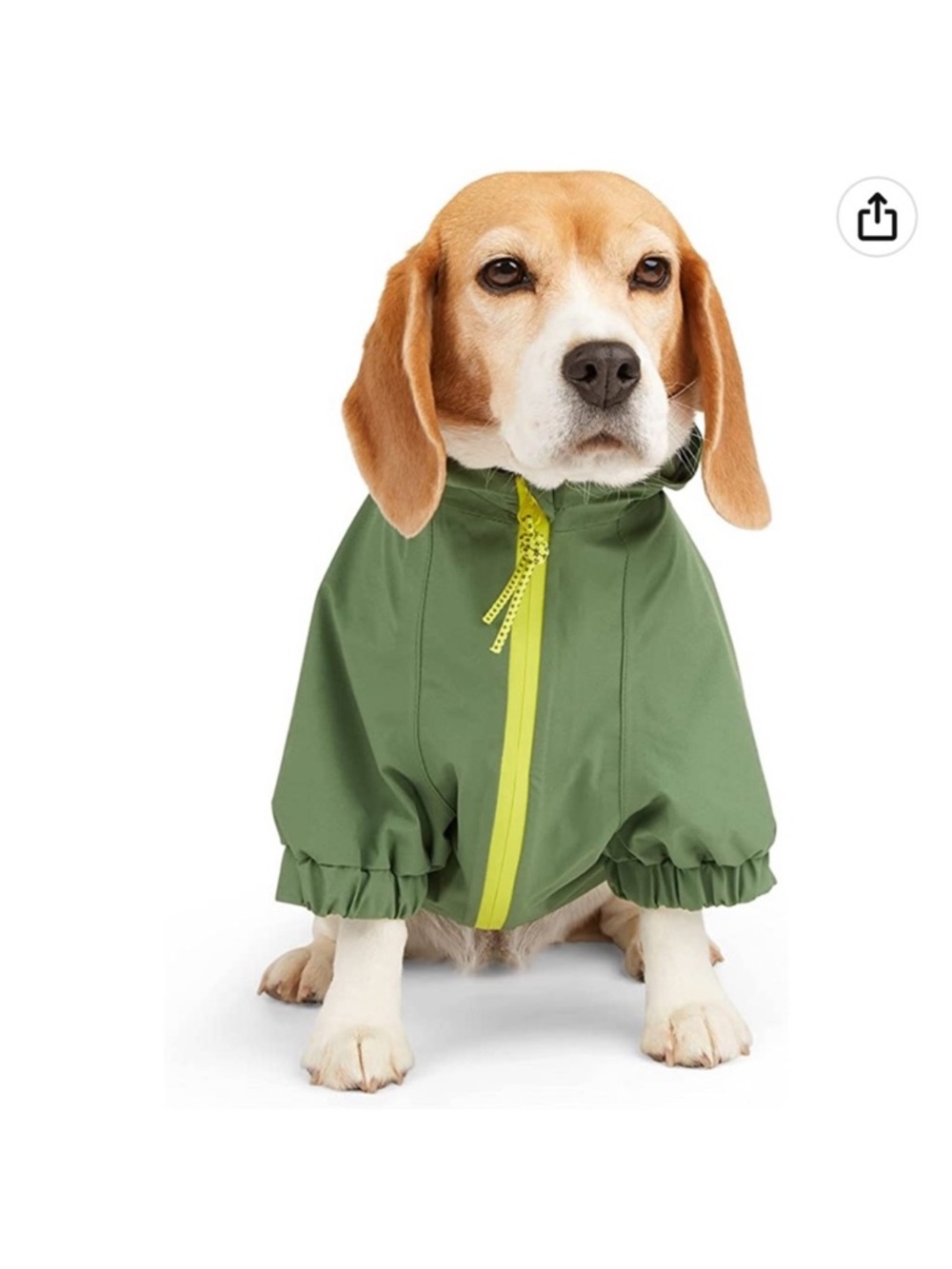 Backcountry x Petco Green Rain Dog Jacket in Green Size XL - Picture 2 of 12